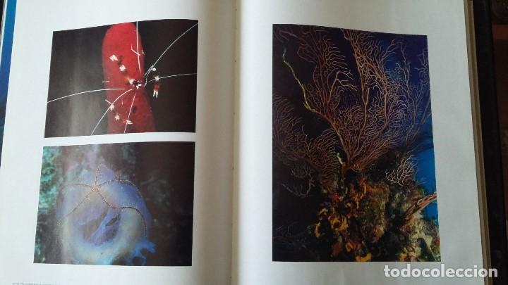Libros de segunda mano: NATURALEZA MEXICANA, versi&oacute;n inglesa (MEXICAN NATURE) - Foto 6