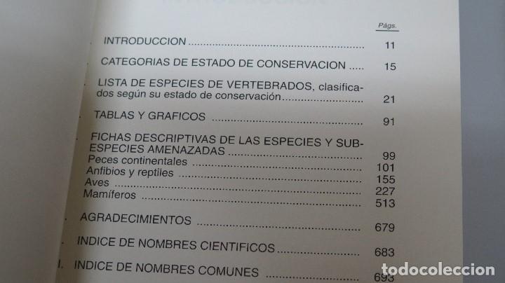 Libros de segunda mano: LIBRO ROJO DE LOS VERTEBRADOS DE ESPA&Ntilde;A. VV.AA - Foto 2