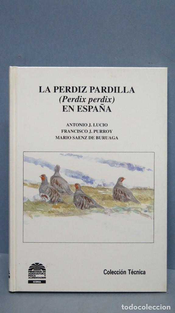 Libros de segunda mano: LA PERDIZ PARDILLA EN ESPA&Ntilde;A. VV.AA - Foto 1