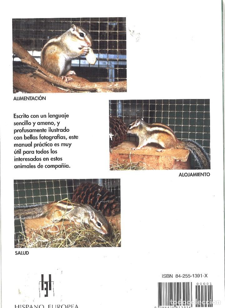 Libros de segunda mano: Manual pr&aacute;ctico de la ardilla - Foto 2