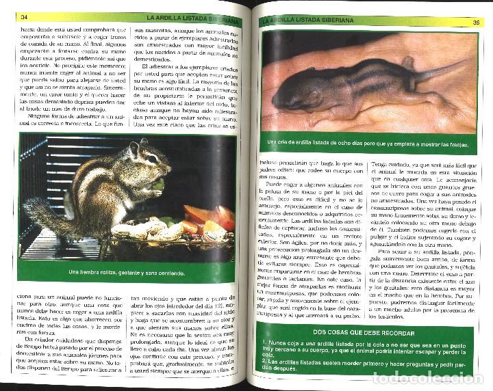 Libros de segunda mano: Manual pr&aacute;ctico de la ardilla - Foto 3