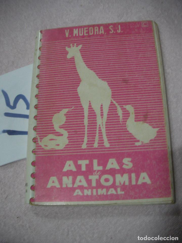 Libros de segunda mano: ATLAS DE ANATOMIA ANIMAL - Foto 1