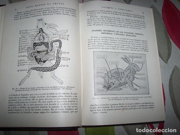 Libros de segunda mano: Conejos y conejares - Foto 3