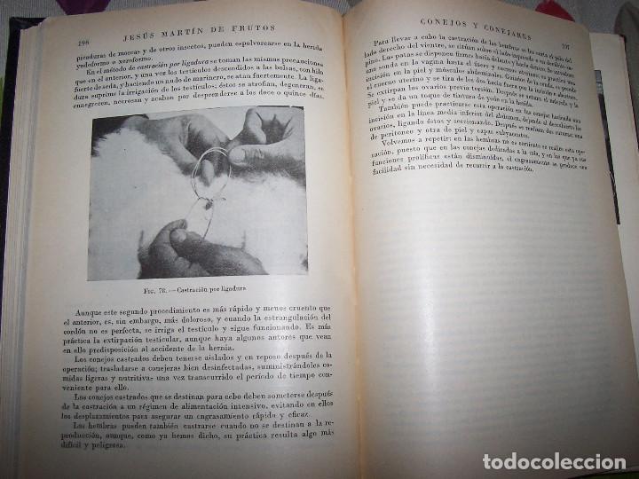 Libros de segunda mano: Conejos y conejares - Foto 3