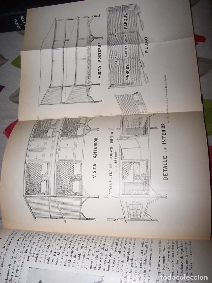 Libros de segunda mano: Conejos y conejares - Foto 4