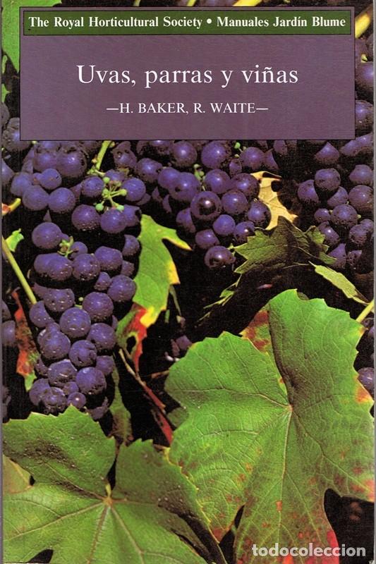 Libros de segunda mano: UVAS,PARRAS Y VI&Ntilde;AS H.BAKER & R. WAITE - Foto 1