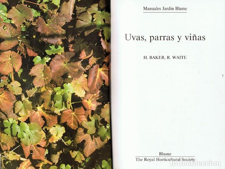 Libros de segunda mano: UVAS,PARRAS Y VI&Ntilde;AS H.BAKER & R. WAITE - Foto 2