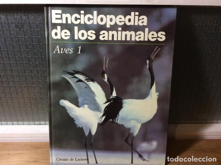 Libros de segunda mano: Enciclopedia de los animales - Aves 1 - Foto 1