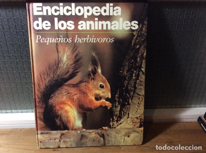 Libros de segunda mano: Enciclopedia de los animales - Peque&ntilde;os herb&iacute;voros. - Foto 1