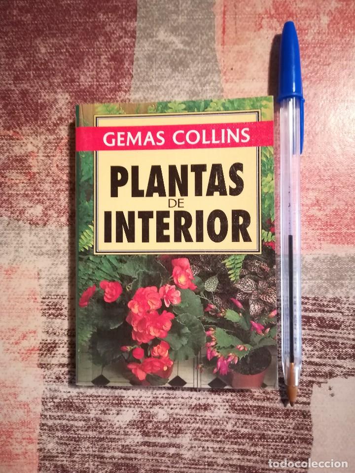 Libros de segunda mano: Plantas de interior - David Squire - Gemas Collins - Foto 1