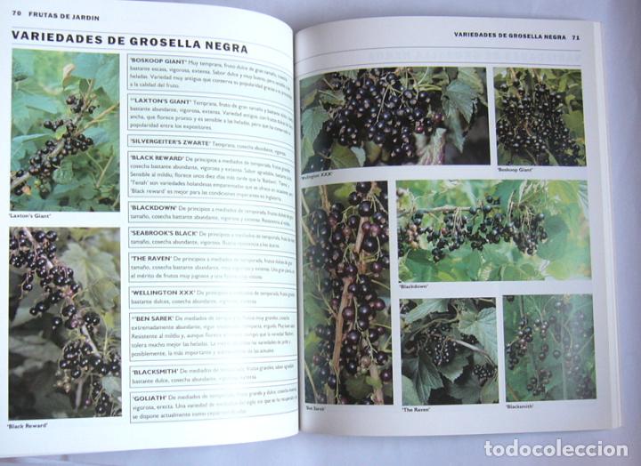 Libros de segunda mano: FRUTAS DE JARDIN - STEFAN BUCZACKI - Foto 4