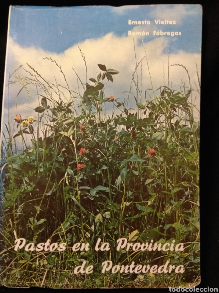 Second hand books: Estudios sobre la producci&oacute;n de pastos en la Provincia de Pontevedra. E. Vieitez, R. F&aacute;bregas. 1977