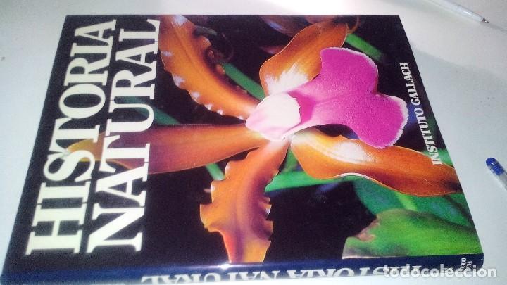 Libros de segunda mano: HISTORIA NATURAL 7-BOTANICA-INSTITUTO GALLACH-EDICIONES OCEANO - Foto 1