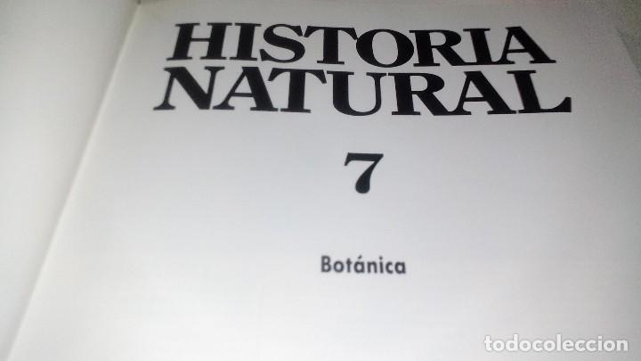 Libros de segunda mano: HISTORIA NATURAL 7-BOTANICA-INSTITUTO GALLACH-EDICIONES OCEANO - Foto 3