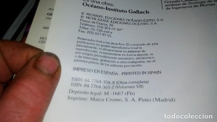 Libros de segunda mano: HISTORIA NATURAL 7-BOTANICA-INSTITUTO GALLACH-EDICIONES OCEANO - Foto 5