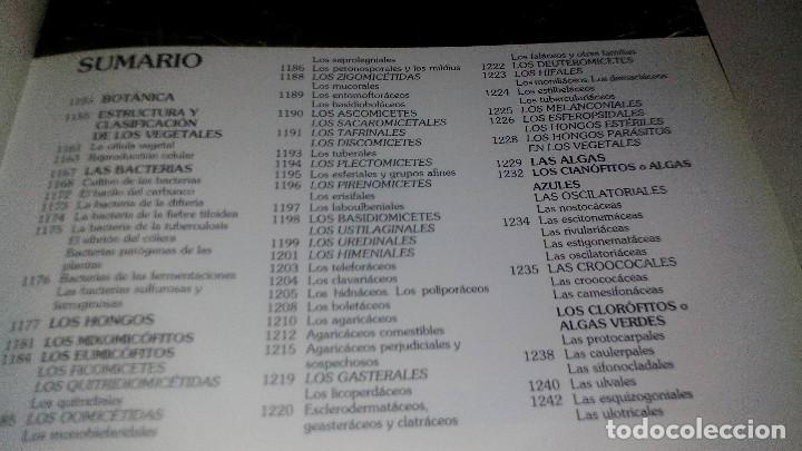 Libros de segunda mano: HISTORIA NATURAL 7-BOTANICA-INSTITUTO GALLACH-EDICIONES OCEANO - Foto 6