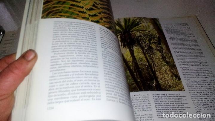 Libros de segunda mano: HISTORIA NATURAL 7-BOTANICA-INSTITUTO GALLACH-EDICIONES OCEANO - Foto 7