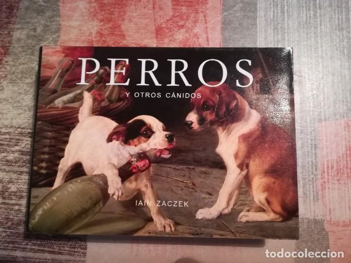 Libros de segunda mano: Perros y otros c&aacute;nidos - Iain Zaczek - Foto 1