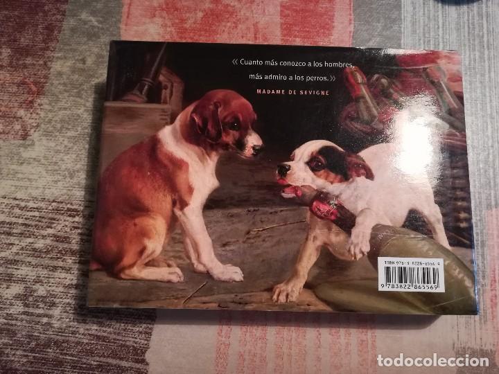 Libros de segunda mano: Perros y otros c&aacute;nidos - Iain Zaczek - Foto 2
