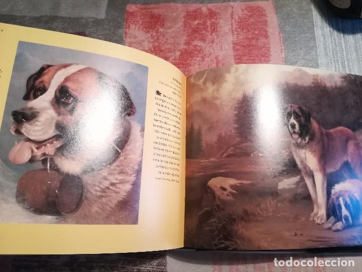 Libros de segunda mano: Perros y otros c&aacute;nidos - Iain Zaczek - Foto 6
