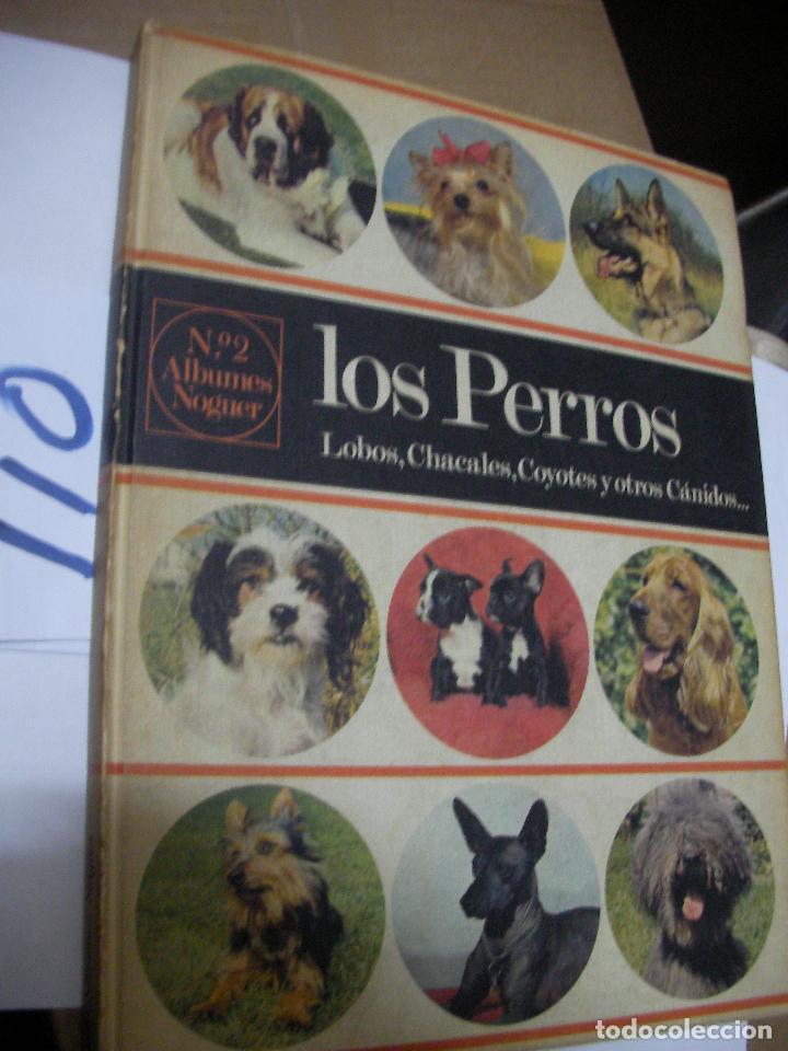 Libros de segunda mano: LOS PERROS (LOBOS, CHACALES, COYOTES Y OTROS CANIDOS....) - Foto 1