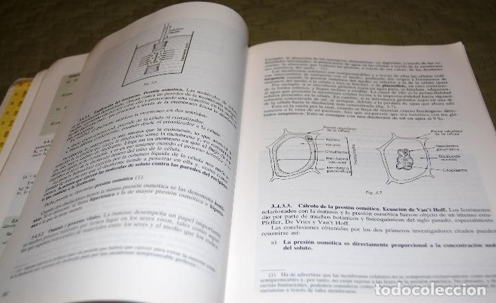 Libros de segunda mano de ciencias: Qu&iacute;mica general. - Foto 6