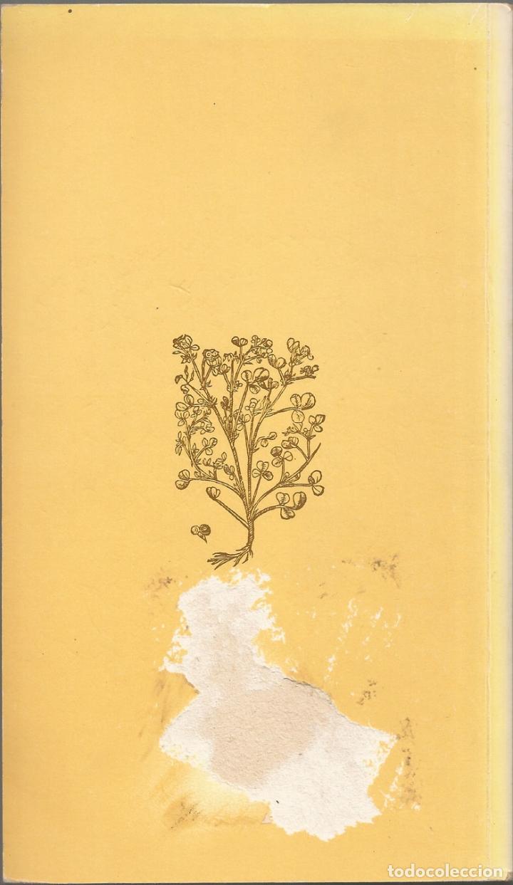 Libros de segunda mano: HERBES I REMEIS CASOLANS &ndash; LLU&Iacute;S RIPOLL 1985 - Foto 2