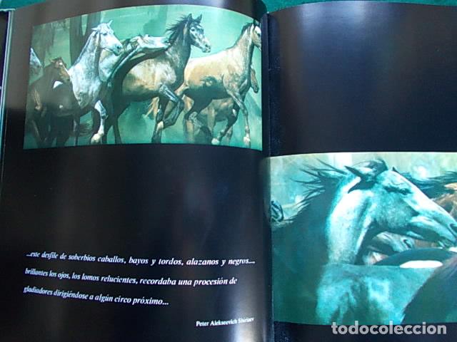 Libros de segunda mano: El noble bruto - Foto 2