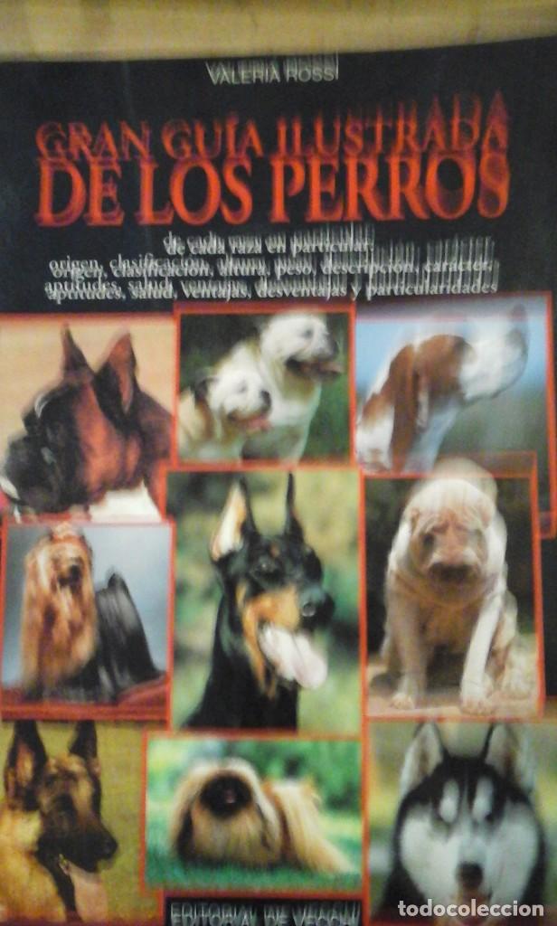 Libros de segunda mano: GRAN GU&Iacute;A ILUSTRADA DE LOS PERROS (Barcelona, 1994) - Foto 1