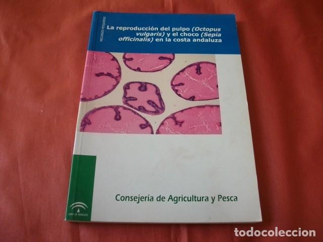 Libri di seconda mano: LA REPRODUCCI&Oacute;N DEL PULPO Y EL CHOCO EN LA COSTA ANDALUZA
