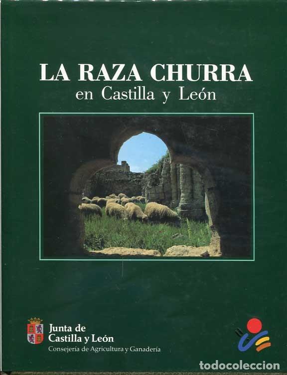 Libros de segunda mano: La raza churra en Castilla y Le&oacute;n - Foto 1