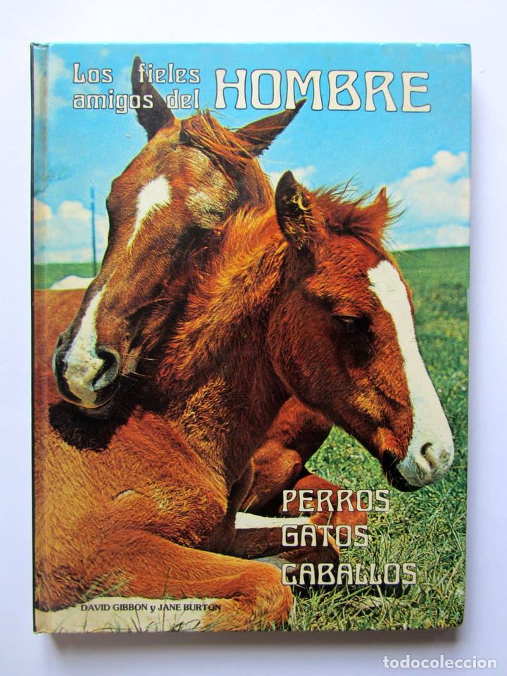 Gebrauchte B&uuml;cher: Los fieles amigos del hombre, perros, gatos y caballos. David Gibbon, Jane Burton. Caja de ahorros v