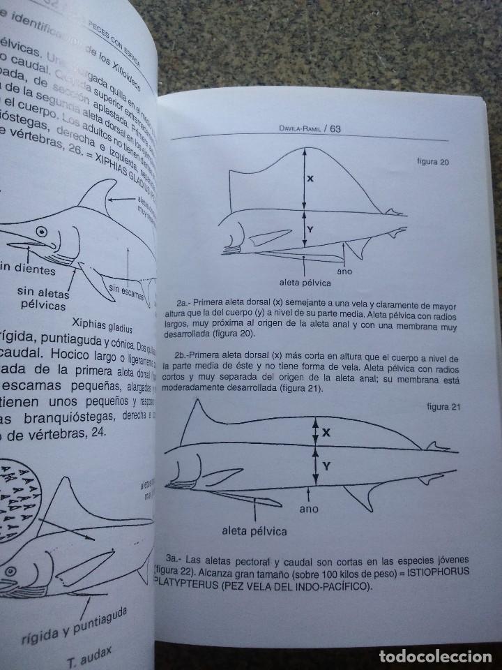 Libros de segunda mano: LOS PECES CON ESPADA -- DAVILA / RAMIL -- 1997 -- - Foto 2