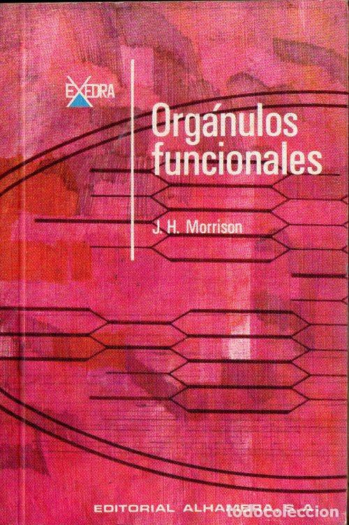 Libros de segunda mano: MORRISON : ORG&Aacute;NULOS FUNCIONALES (ALHAMBRA, 1968) - Foto 1