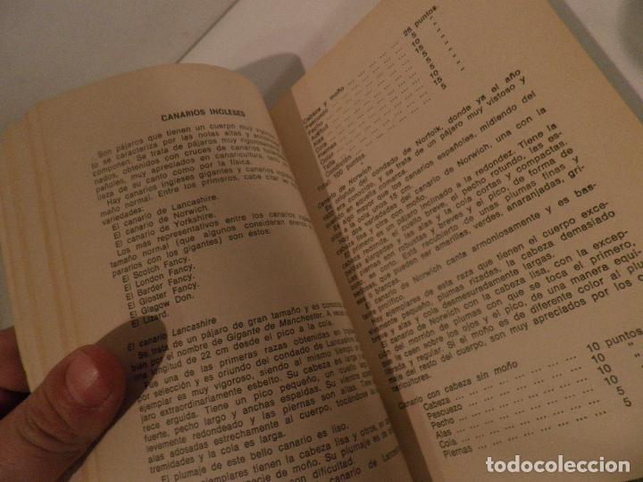 Libros de segunda mano: CANARIOS Y PERIQUITOS - FELIX QUIROS DE RUEDA - - Foto 5