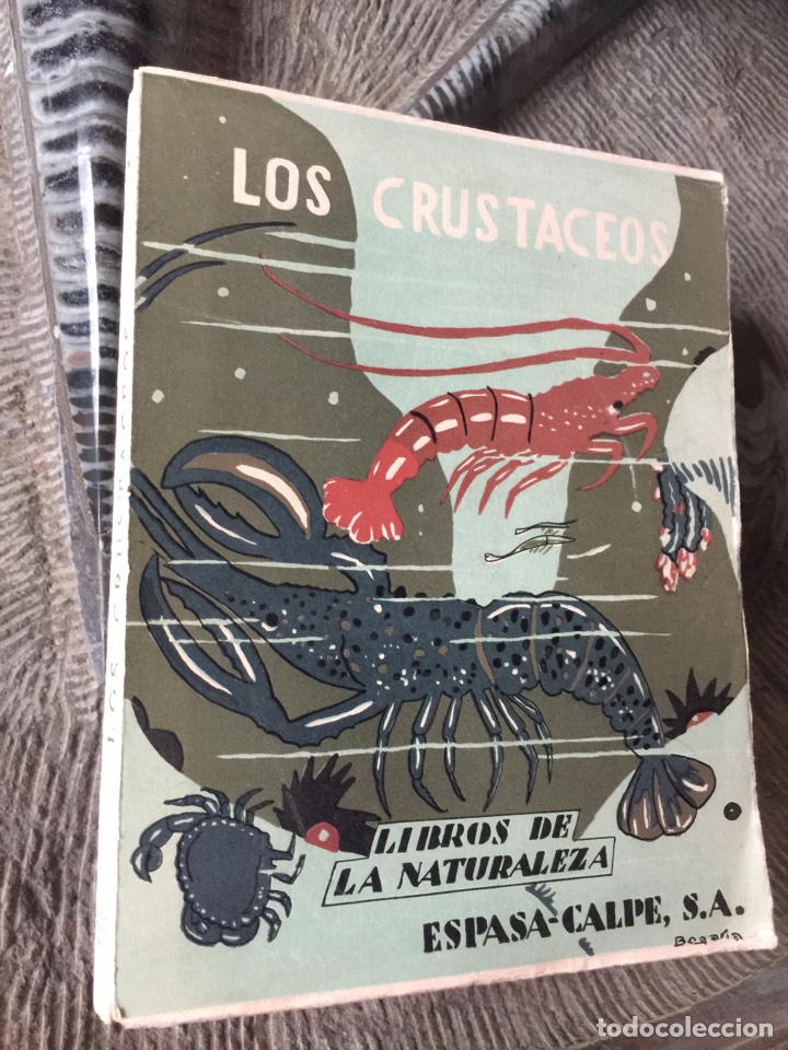 Libros de segunda mano: La vida de los crust&aacute;ceos 1937 - Foto 3