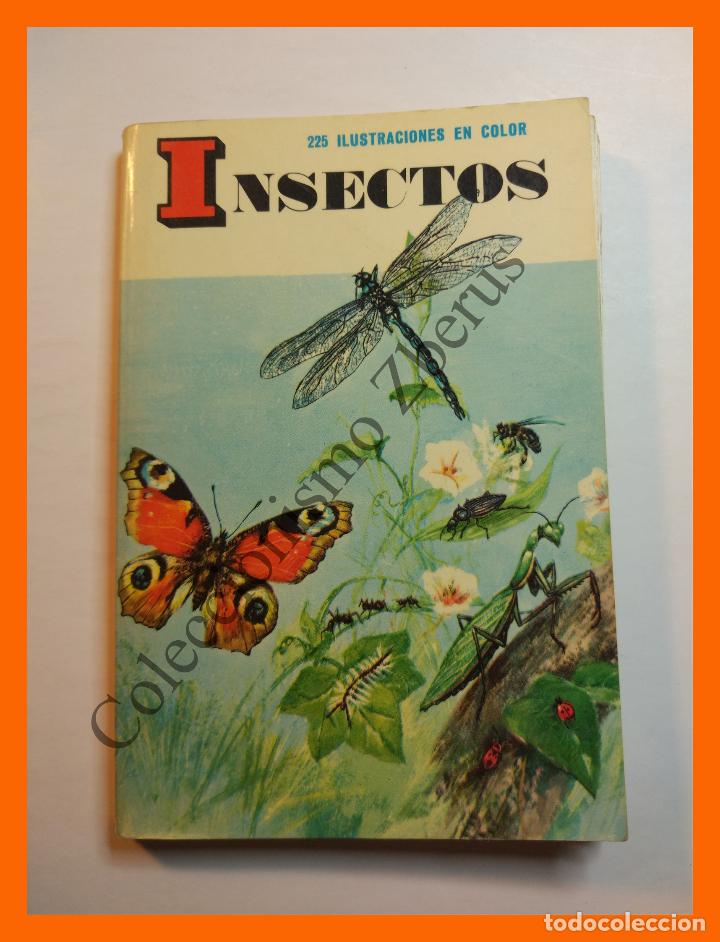 Libros de segunda mano: Insectos - H. Zim y C. Cottam - Foto 1