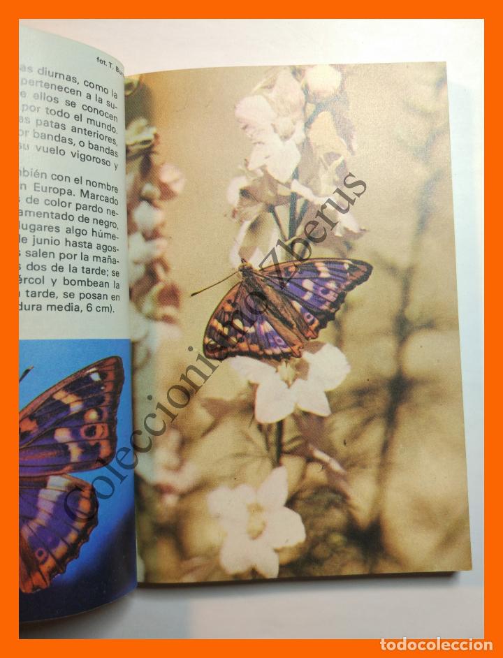 Libros de segunda mano: Mariposas - Yves Latouche - Foto 2