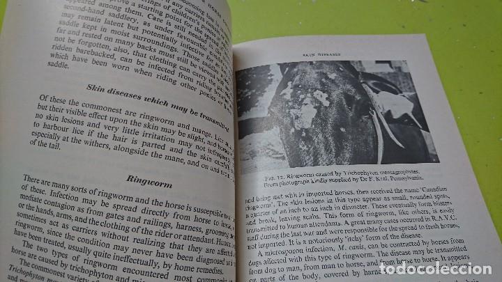 Libros de segunda mano: VETERINARY NOTES FOR HORSE OWNERS, LIBRO EN INGLES - Foto 4
