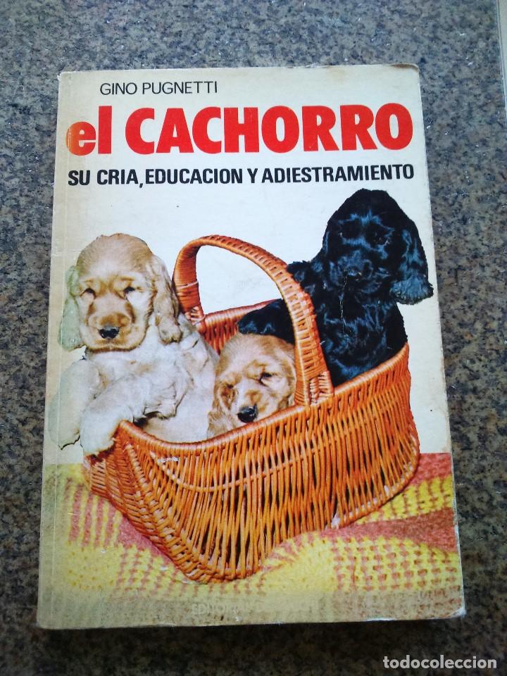 Libros de segunda mano: EL CACHORRO -- GINO PUGNETTI -- DE VICCHI - 1975 -- - Foto 1