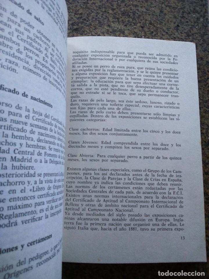 Libros de segunda mano: EL CACHORRO -- GINO PUGNETTI -- DE VICCHI - 1975 -- - Foto 2