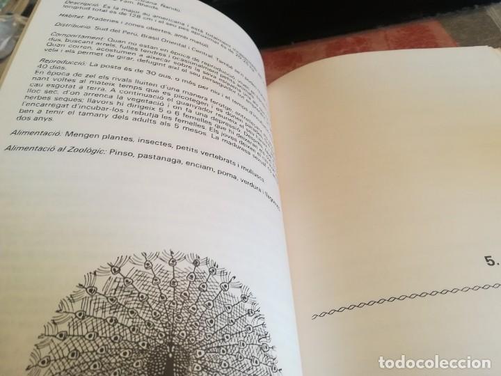 Libros de segunda mano: Coneguem els animals al Parc Zool&ograve;gic - Cicle Mitj&agrave; - Foto 3