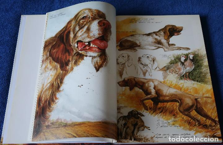 Libros de segunda mano: Perros - Color y forma - Jose Carlos Gracia - Espasa - Foto 6
