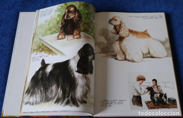 Libros de segunda mano: Perros - Color y forma - Jose Carlos Gracia - Espasa - Foto 7