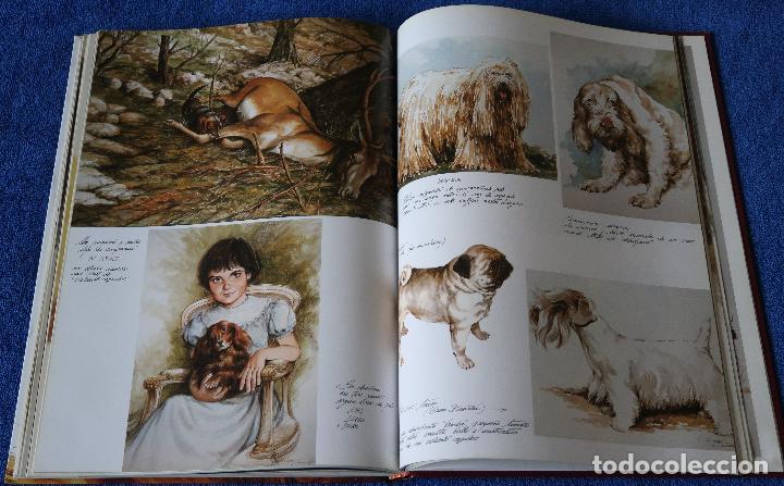 Libros de segunda mano: Perros - Color y forma - Jose Carlos Gracia - Espasa - Foto 9