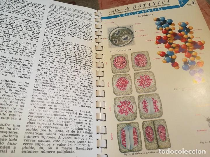 Libros de segunda mano: Atlas de bot&aacute;nica - J.M. Thomas-Domenech - Foto 4