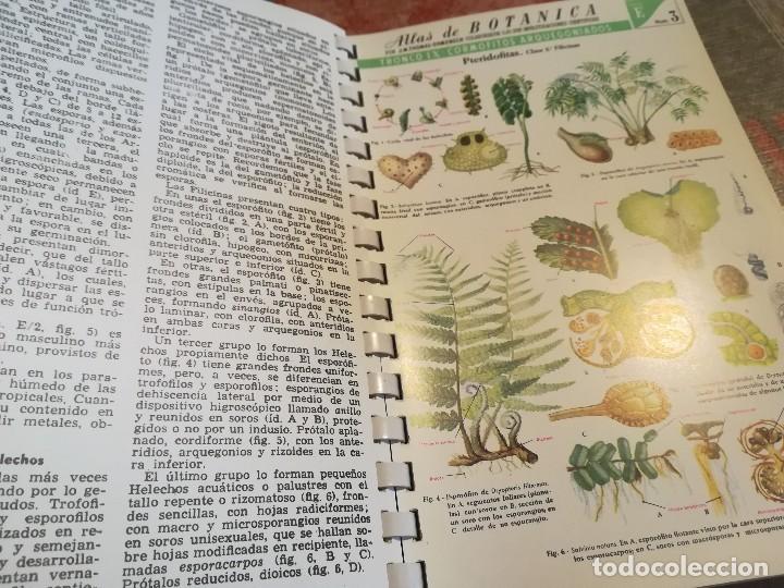 Libros de segunda mano: Atlas de bot&aacute;nica - J.M. Thomas-Domenech - Foto 6