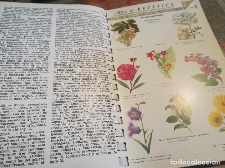 Libros de segunda mano: Atlas de bot&aacute;nica - J.M. Thomas-Domenech - Foto 8