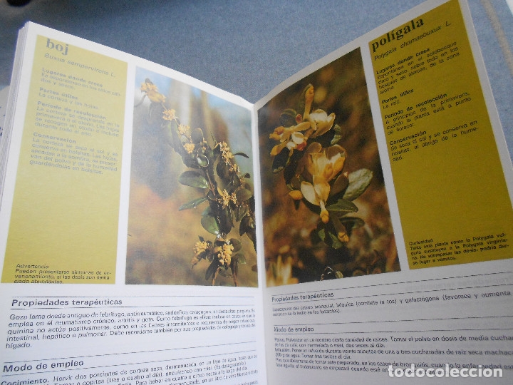 Libros de segunda mano: PLANTAS Y FLORES MEDICINALES - Foto 2
