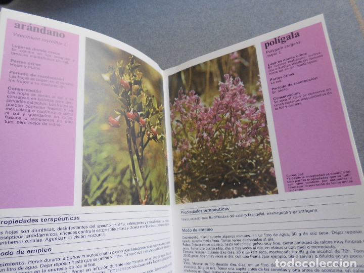 Libros de segunda mano: PLANTAS Y FLORES MEDICINALES - Foto 3